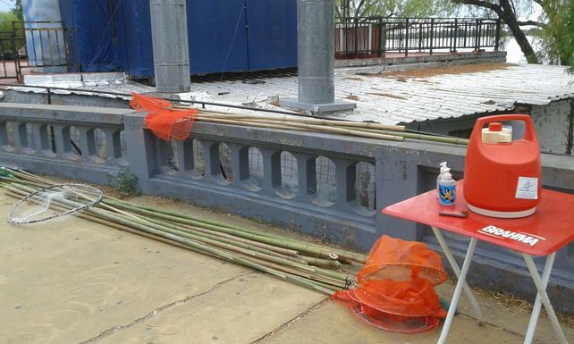 Finalizaron las tareas de limpieza en la costa del río Paraná