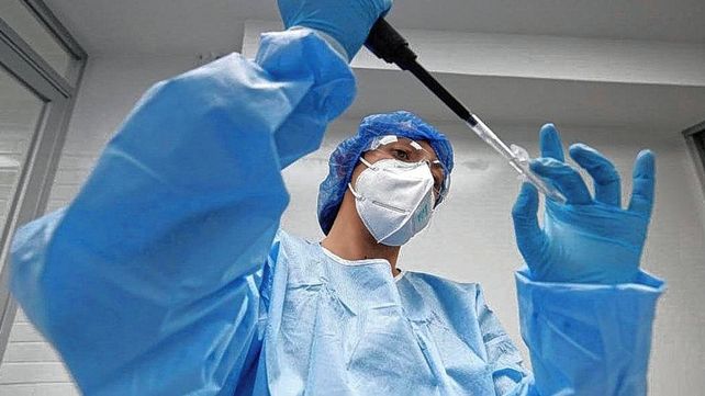 Investigaciones científicas