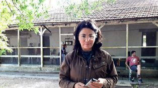Dolores Etchevehere, en disputa con sus hermanos, impulsaba en su campo de Entre Ríos un plan agroecológico llamado Proyecto Artigas.