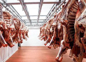 Afirman que el precio de la carne seguirá en alza tras suba de 15%