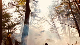 Brigadistas santafesinos le hacen frente a los incendios forestales en Chubut con ataque directo y tareas de contención