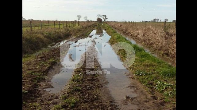Pese a los arreglos, Grutly sufre las consecuencias de la emergencia hídrica