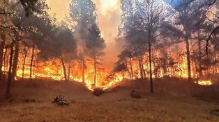 El incendio comenzó el lunes por la madrugada y en tres horas se expandió a las localidades aledañas&nbsp;