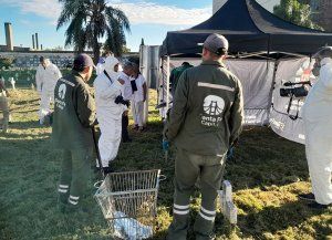 Identidad y memoria: exhumaron los restos de una mujer en el cementerio de Santa Fe para determinar si es hija de desaparecidos