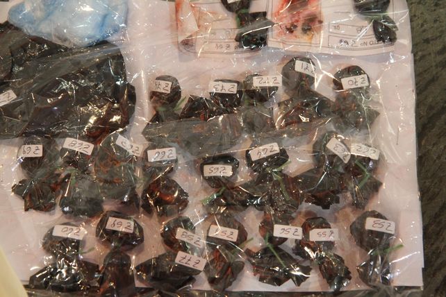 Cayeron 29 narcotraficantes en megaoperativo policial en Rosario