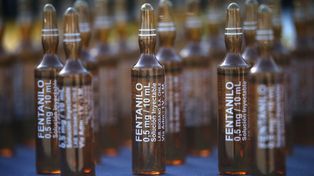 Ampollas secuestradas durante un allanamiento en la investigación del fentanilo contaminado.
