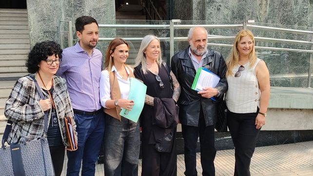Amalia Granata encabezó la demanda contra al reforma previsional.