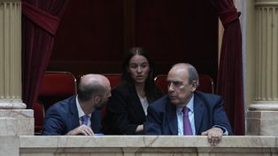 Francos siguió desde un palco de Diputados la media sanción de la ley ómnibus.