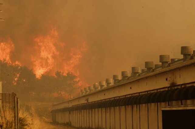 Incendio forestal en Santa Baia de Montes