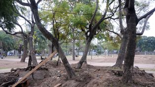 Parque Alberdi: el juez pidió informes al municipio y los trabajos se paralizan