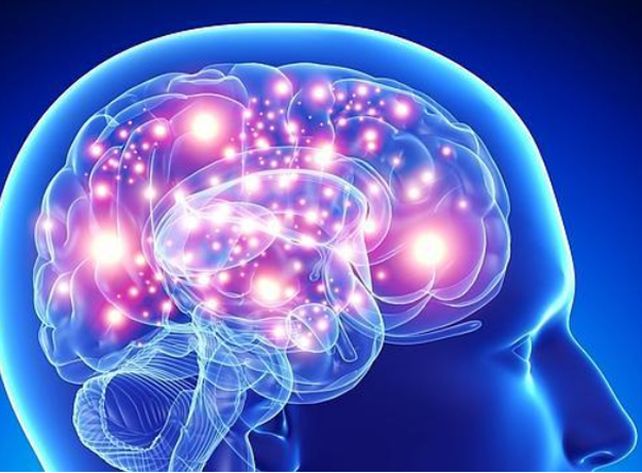 Los ocho mitos de la ciencia que suelen creerse pero son falsos