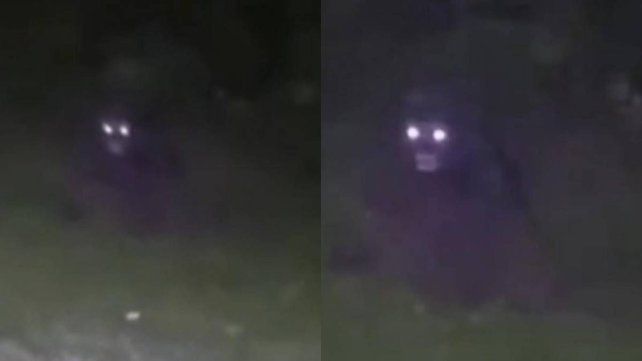 Villa Urquiza: figura negra con ojos brillantes fue captada en un campo