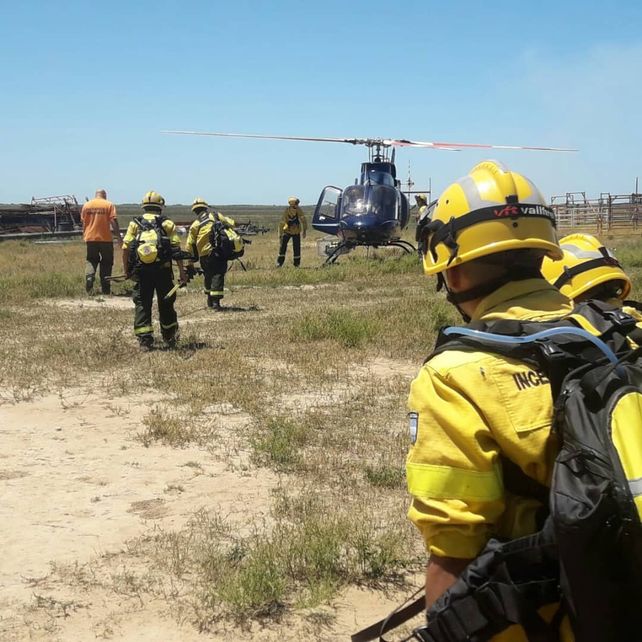 Combatieron un nuevo incendio en islas del delta del Paraná