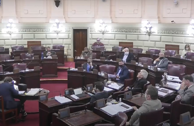 Los senadores se unieron para apuntarle a Marcelo Sain