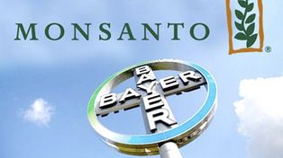 La increíble cifra que pagó Bayer para quedarse con Monsanto