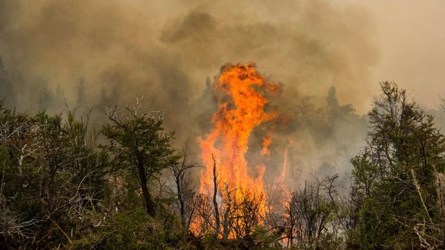 Son doce las provincias que combaten incendios forestales