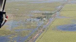Declaran zona de desastre y emergencia agropecuaria al norte de Santa Fe