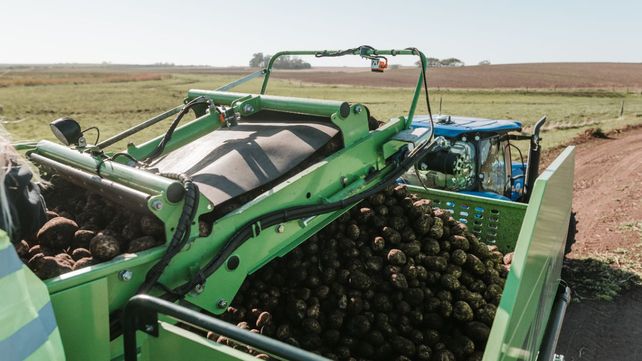 Los productores emplean herramientas tecnológicas como sensores