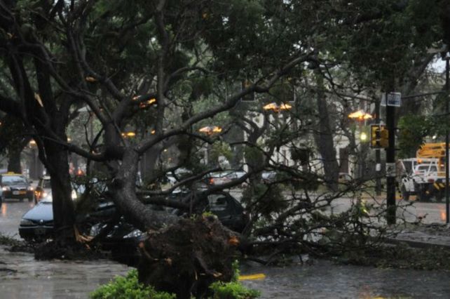 Destrozos y voladuras de techos por el temporal de viento que azota a ...
