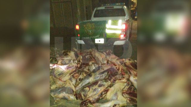 Secuestraron más de 5.000 kilos de carne vacuna no apta para consumo humano