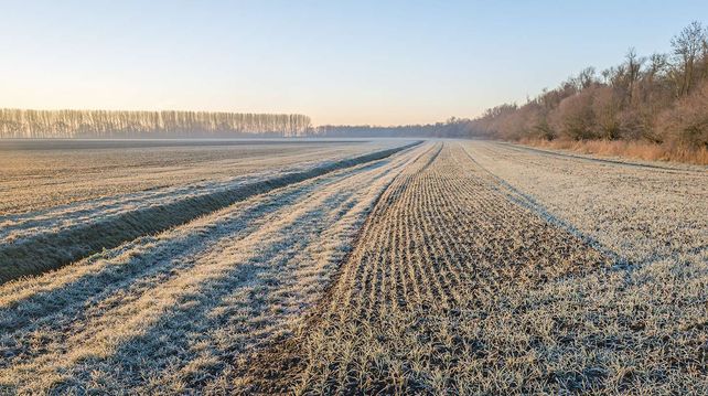 Clima: el otoño se despide a puro invierno