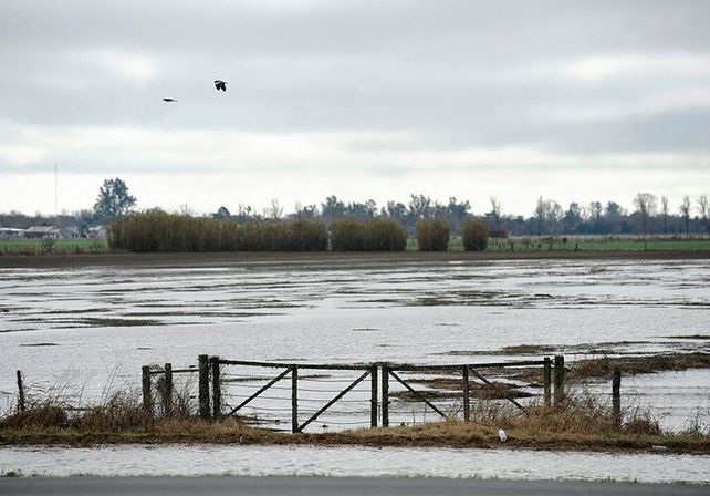 El Niño. El fenómeno se caracteriza por las numerosas lluvias.