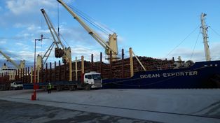 Otra carga de madera entrerriana tendrá como destino a China