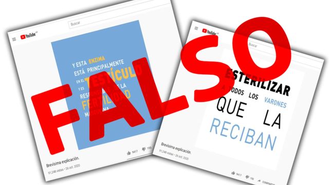 Coronavirus: científicos del Conicet le dan batalla a las noticias falsas sobre las vacunas