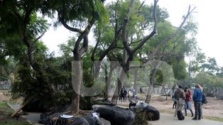 Afirman que el proyecto de cocheras pone en valor el Parque Alberdi