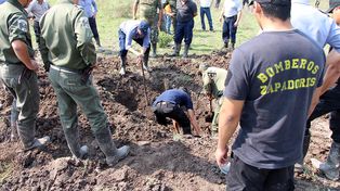 Más de 500.000 archivos serán peritados en Santa Fe por la desaparición de Rosalía Jara