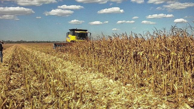 Sector del transporte y el agro, alertas por falta de gasoil