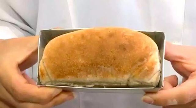 Elaboran un pan de cucarachas y dicen que es bueno para la salud