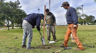 Trabajos de bacheo