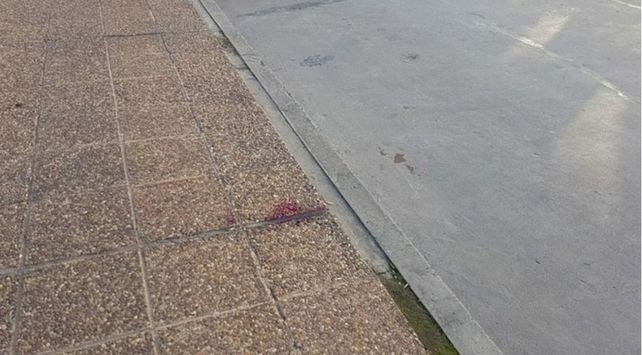 El lugar en dónde sucedieron los hechos.