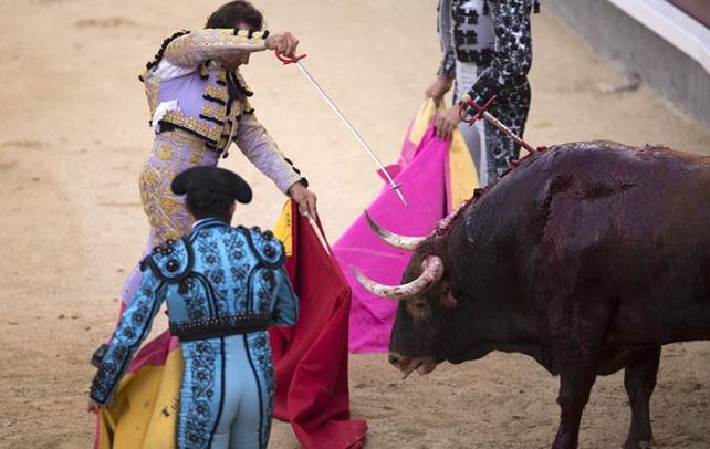 Un arte pasional. Los toreros se enfrentan a la férrea oposición de proteccionistas