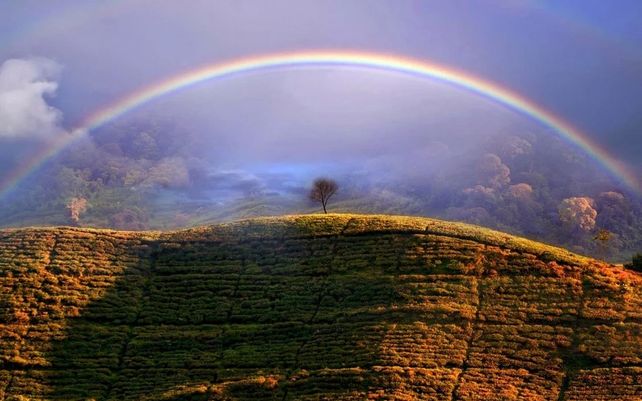 Arcoiris brumoso