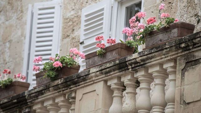 Alertan sobre el peligro de colocar macetas en los balcones de los edificios