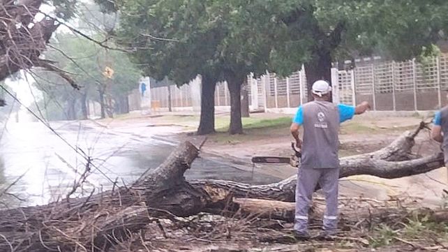 Personal de la Dirección de Protección Civil de la Municipalidad de Paraná recorre la ciudad durante la tormenta para evaluar los daños