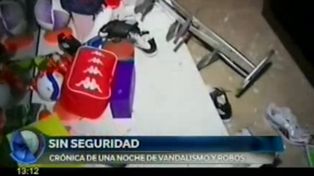 Crónica de una noche de vandalismo y robos en la ciudad