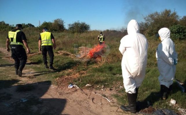 Pescaban surubíes a arponazos y palazos y los detuvieron