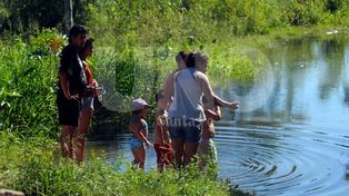 Vecinos de Colastiné piden que se fumigue contra los mosquitos por prevención
