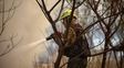 Ambiente reporta ocho focos de incendio activos en Corrientes y otros seis en Misiones