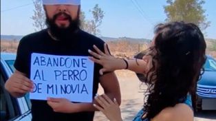 Dejó a su novio tirado en la ruta en al enterarse que abandonó a su perro porque no era de raza