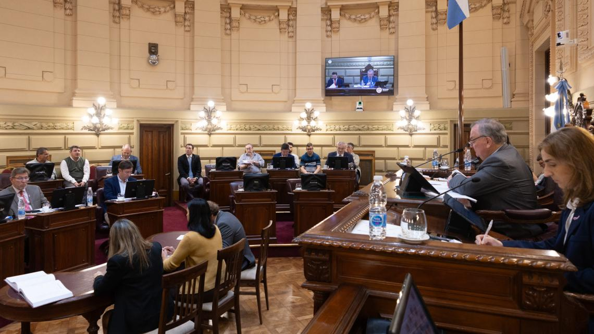 Senado de Santa Fe: media sanción a la nueva ley contra la violencia de género