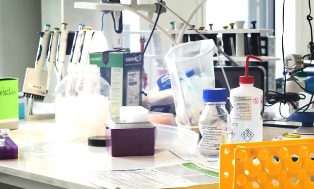 Una investigación realizada en la Universidad Estatal de Georgia abrió esperanzas sobre la efectividad de un antiviral.&nbsp; 
