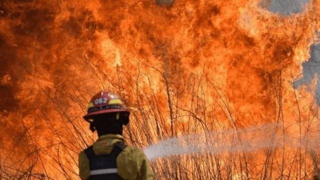 Los incendios están causando estragos en Corrientes.