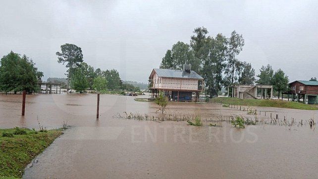 Inundación: lenta evacuación de 600 mil vacunos de las islas