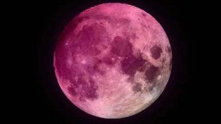 ¿Cuándo y cómo se podrá disfrutar de la Luna rosa?