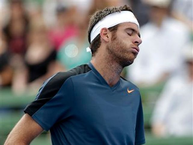 Delpo cayó ante Hewitt en la final del  Kooyong Classic