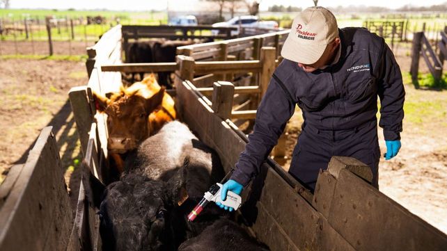 La nueva vacuna se suma a la cartera de productos veterinarios de la firma.